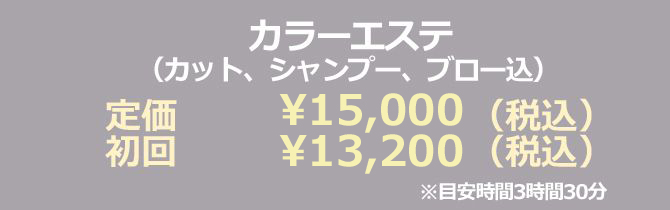 �߃��� ��z �������P �w�A�G�X�e