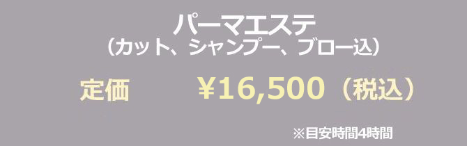 �߃��� ��z �������P �w�A�G�X�e